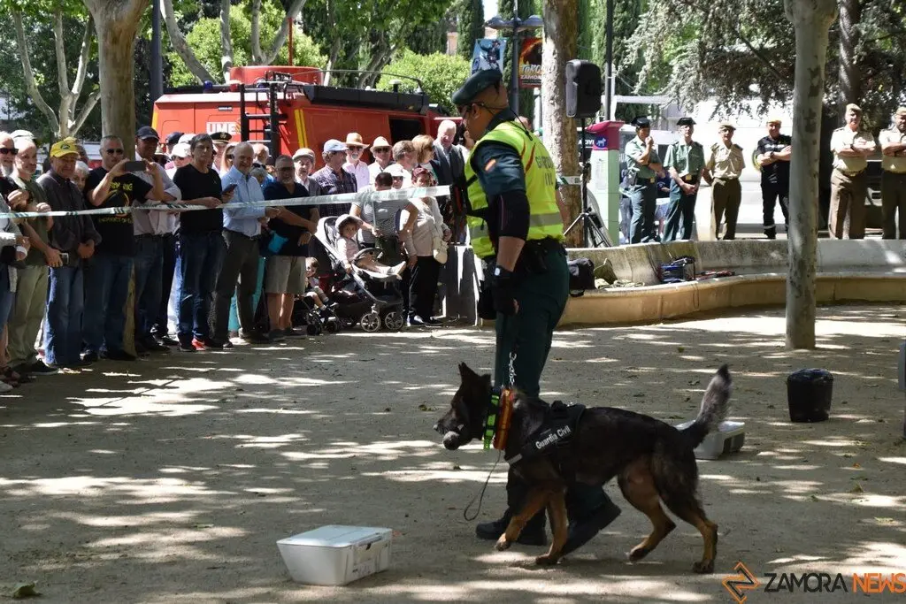 Día de las Fuerzas Armadas en Zamora_33