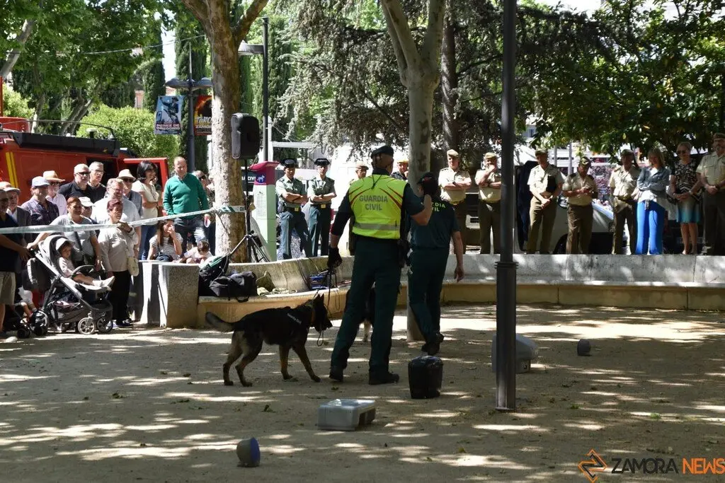 Día de las Fuerzas Armadas en Zamora_36