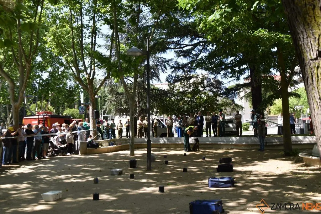 Día de las Fuerzas Armadas en Zamora_37