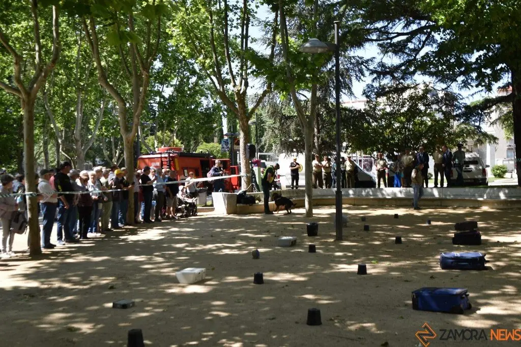 Día de las Fuerzas Armadas en Zamora_38