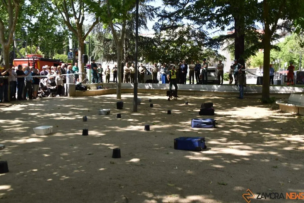 Día de las Fuerzas Armadas en Zamora_39