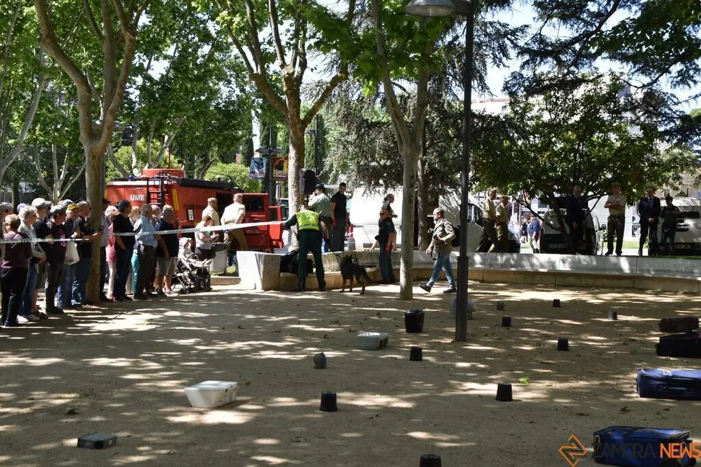 Día de las Fuerzas Armadas en Zamora_41