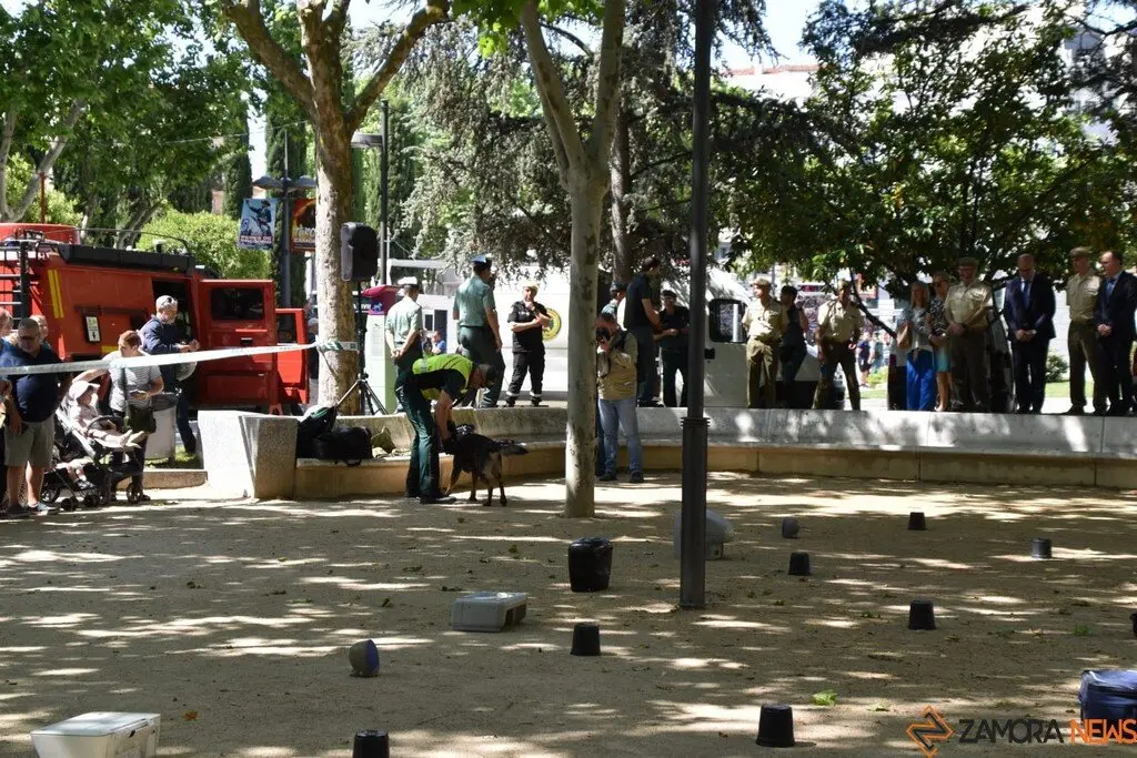 Día de las Fuerzas Armadas en Zamora_42