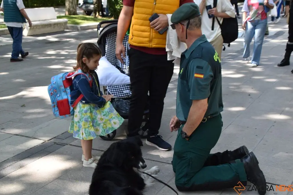 Día de las Fuerzas Armadas en Zamora_55