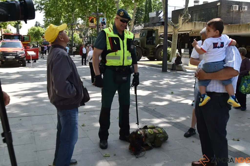 Día de las Fuerzas Armadas en Zamora_56
