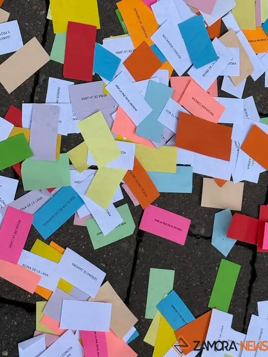 Romería de la Virgen de la Concha 2025_25