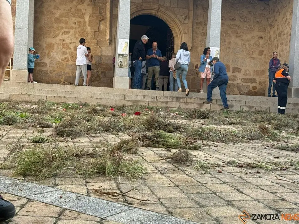 Romería de la Virgen de la Concha 2025 27