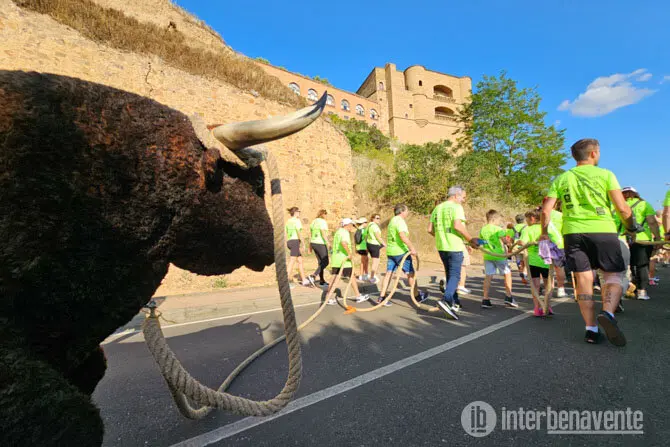 maroma solidaria. INTERBENAVENTE  (1)