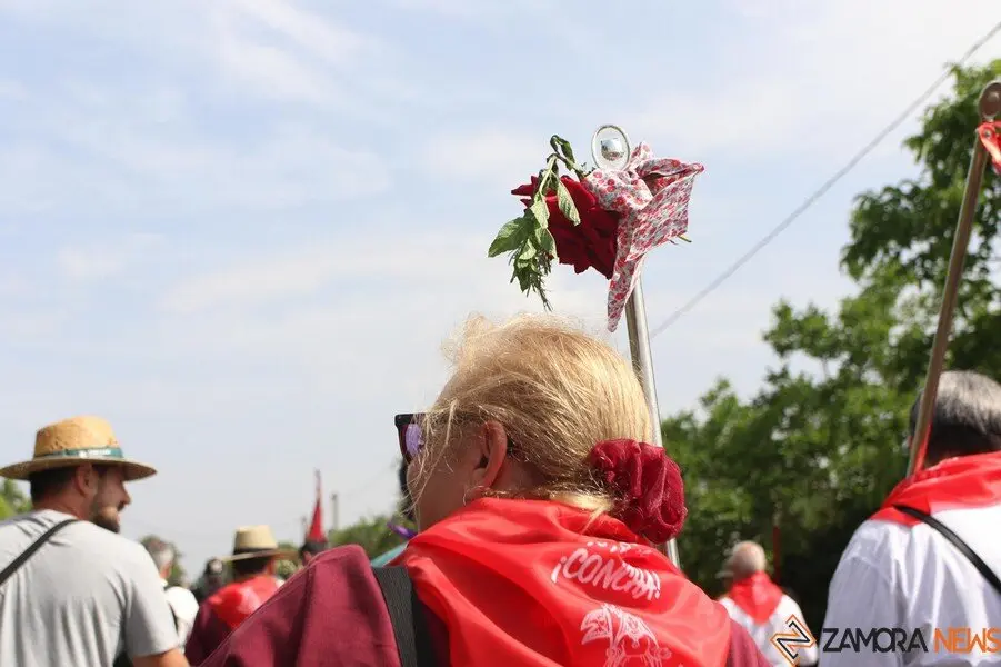 romeria La Hiniesta _5