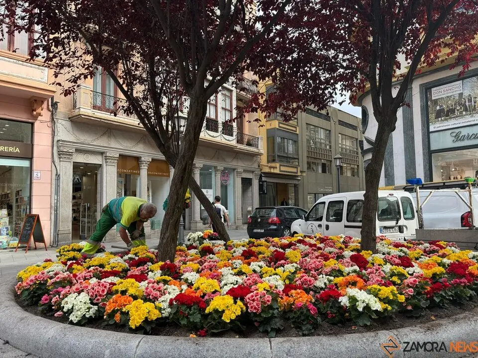 Nuevas flores en la Plaza Sagasta