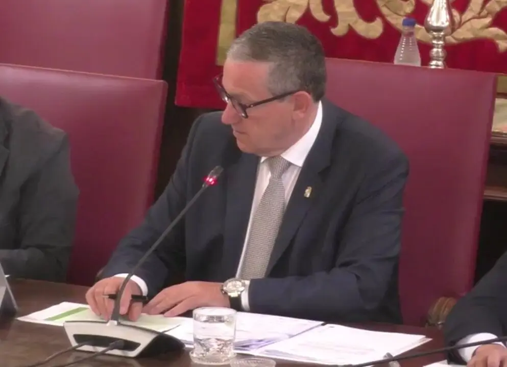 Pleno. Diputación de Zamora