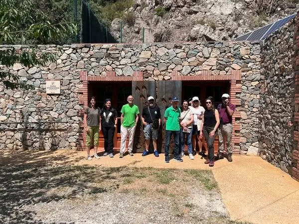 proyecto IMFOREST
