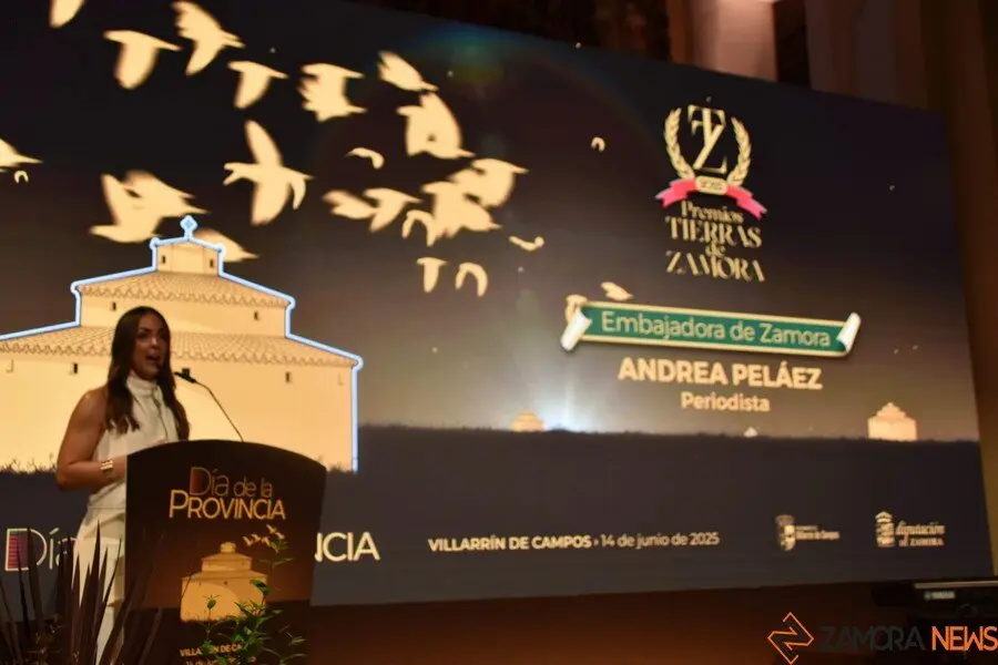 Día de la provincia en Villarrín de Campos