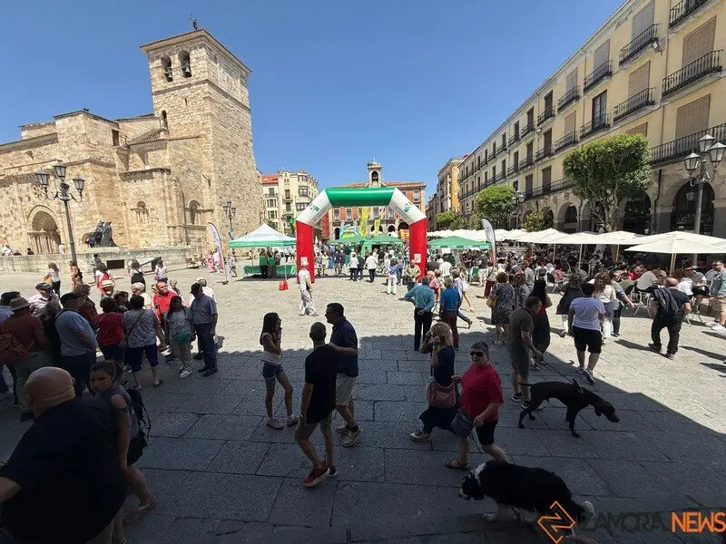 Encuentro Solidario de Cortadores