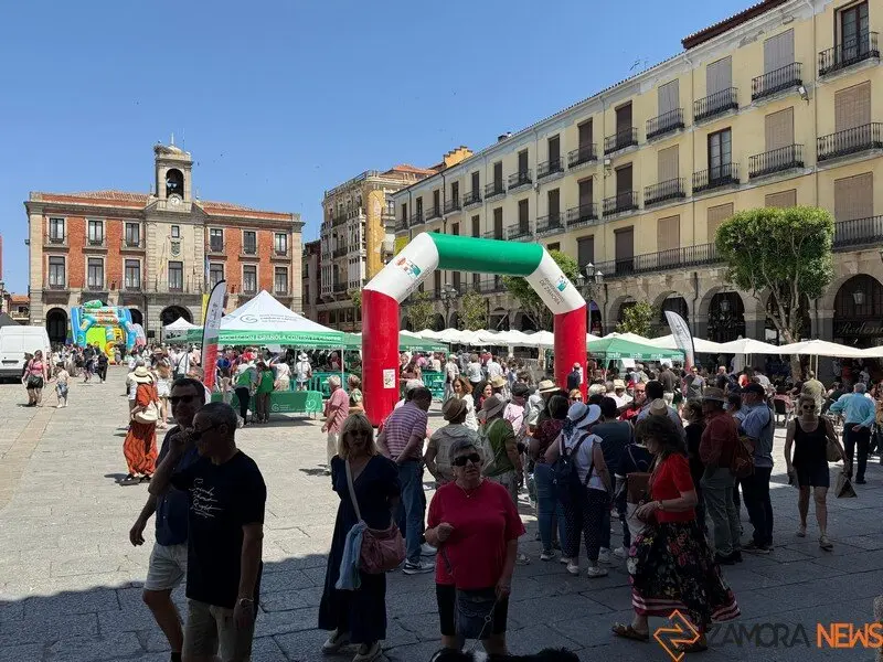 Encuentro Solidario de Cortadores_2
