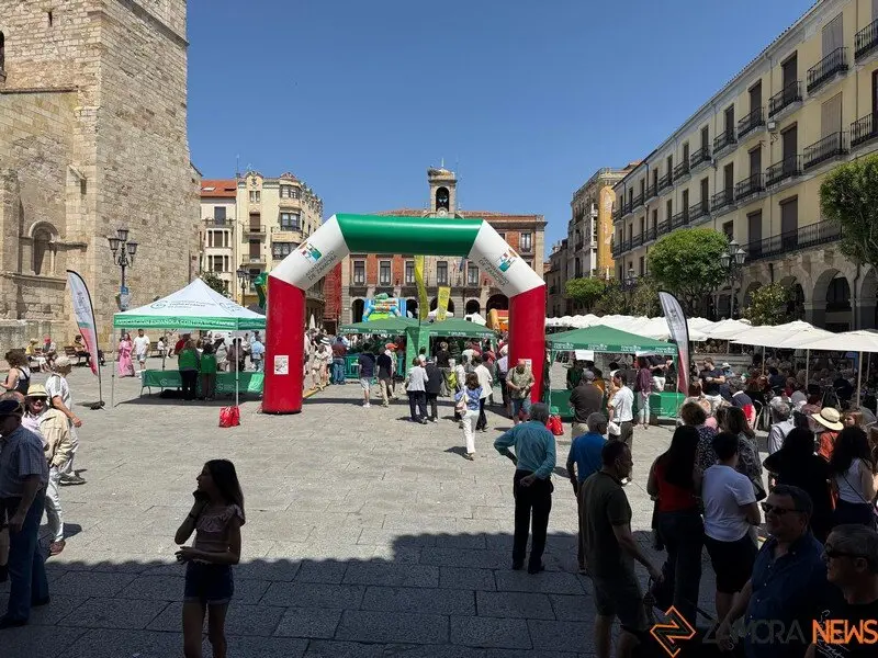 Encuentro Solidario de Cortadores_3