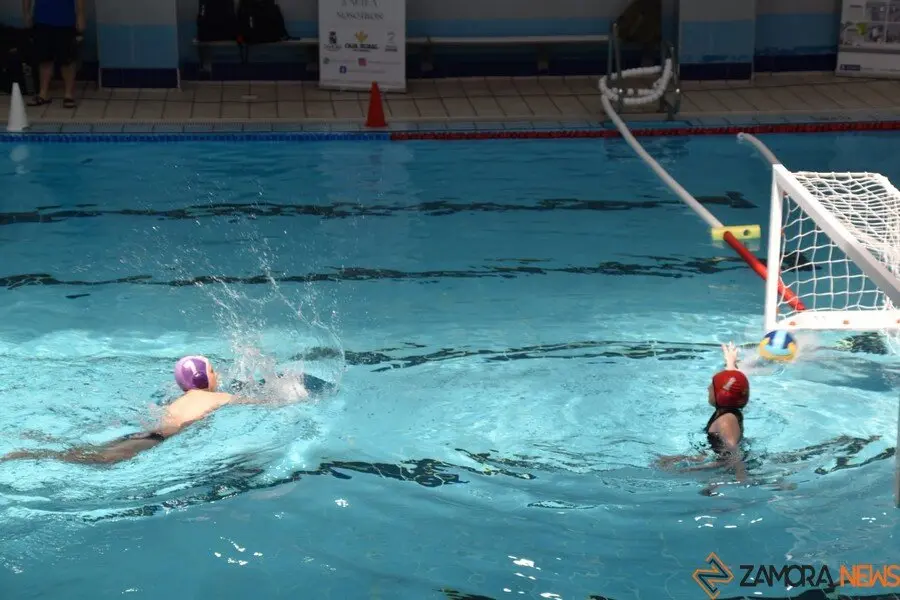día de Waterpolo en Zamora