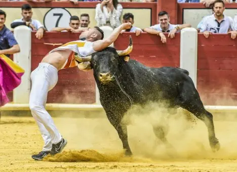 Concurso de cortes, Tauroemoción