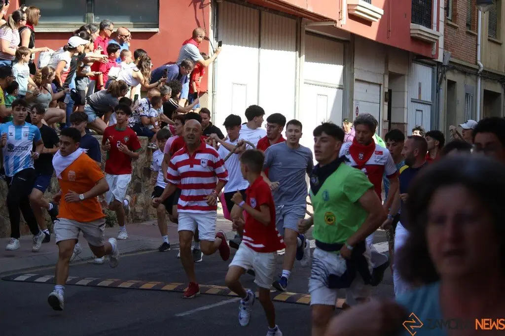 Toro Benavente_5