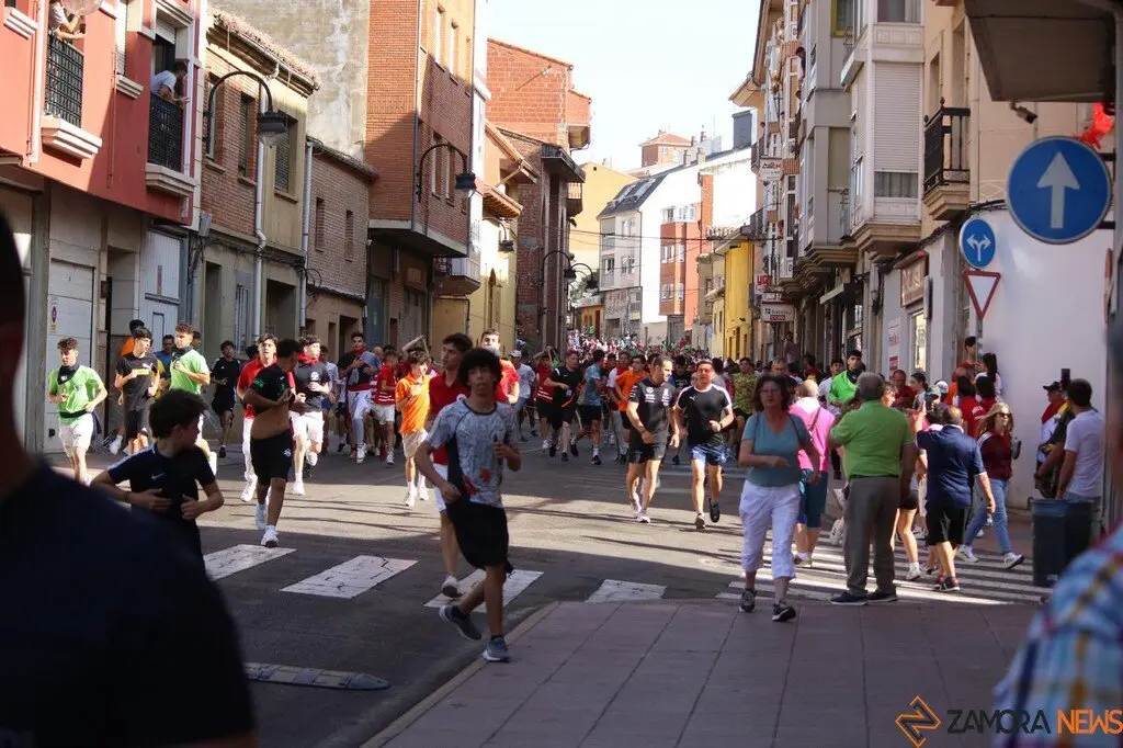 Toro Benavente_4