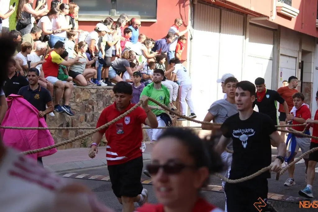 Toro Benavente_6