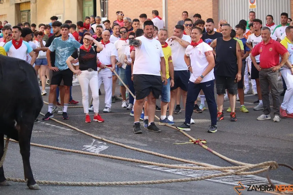 Toro Benavente_13