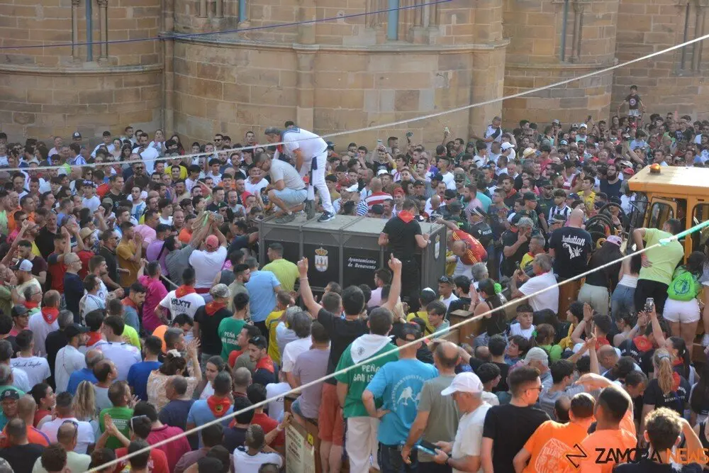 toro benavente 2025_137