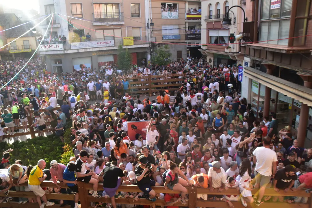 toro benavente 2025 (10)