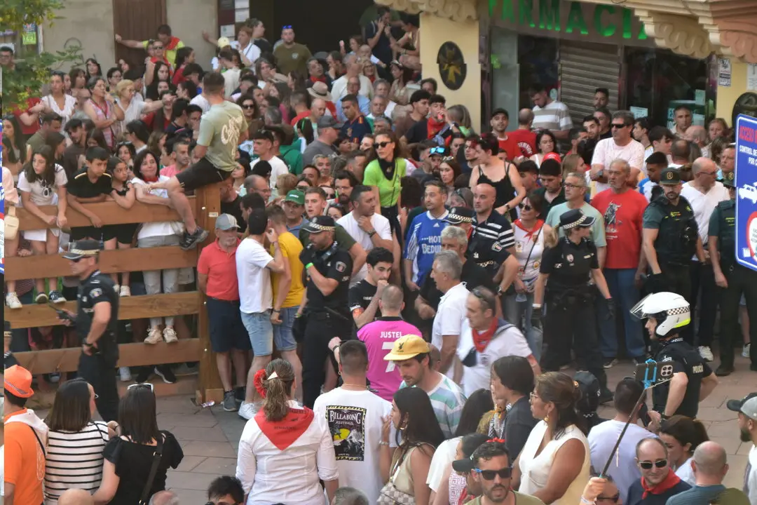 toro benavente 2025 (12)