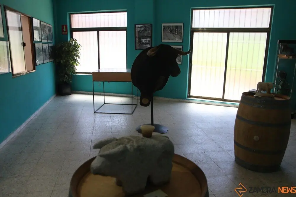 toro benavente 2025_4