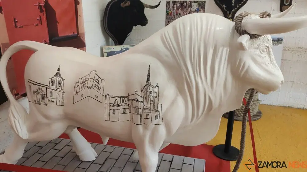 toro benavente 2025_6