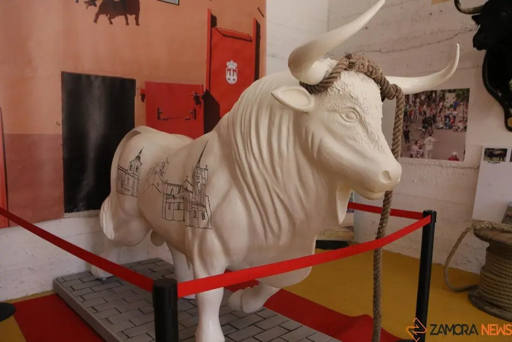 toro benavente 2025_14