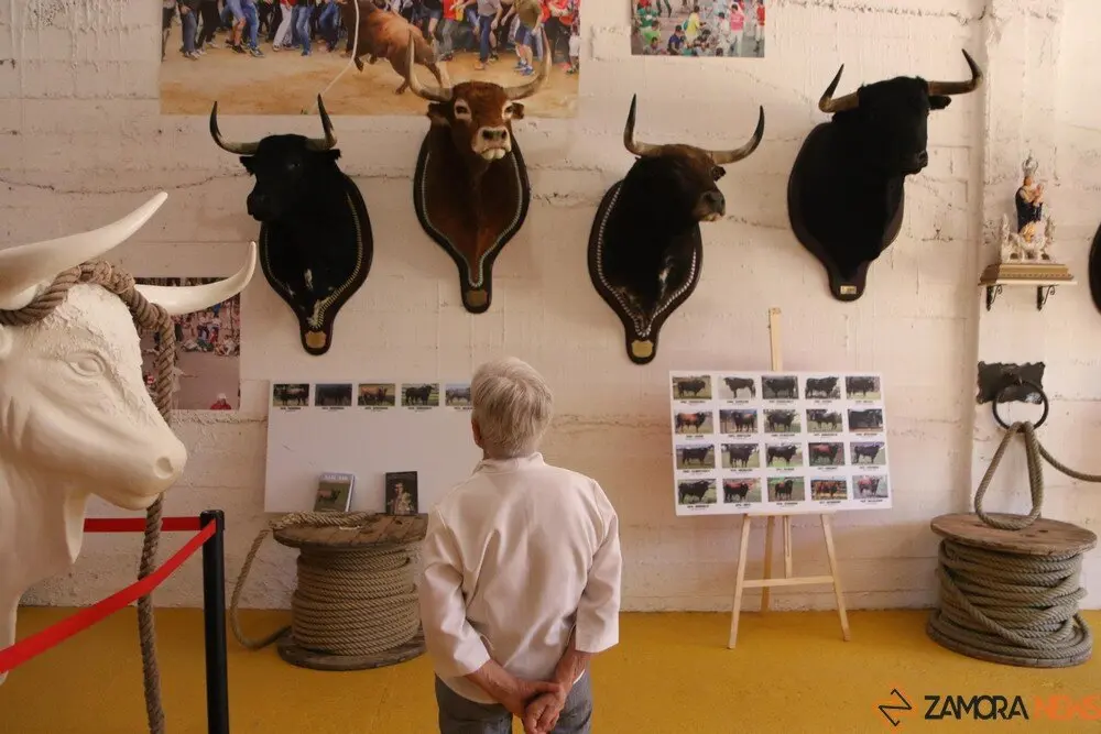 toro benavente 2025_20