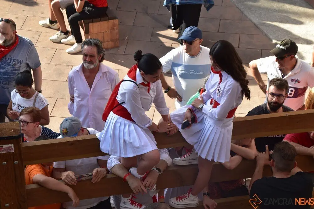 toro benavente 2025_81