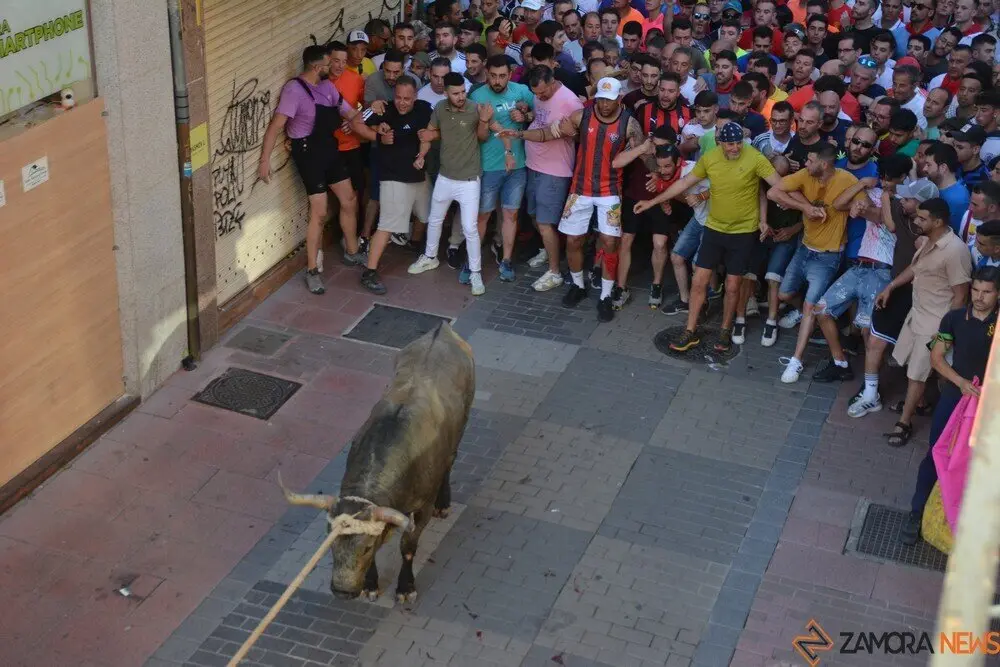 toro benavente 2025_109