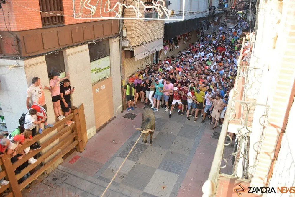 toro benavente 2025_104