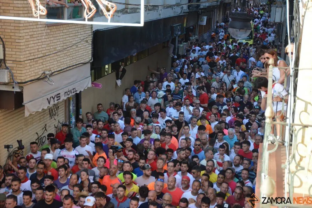 toro benavente 2025_120