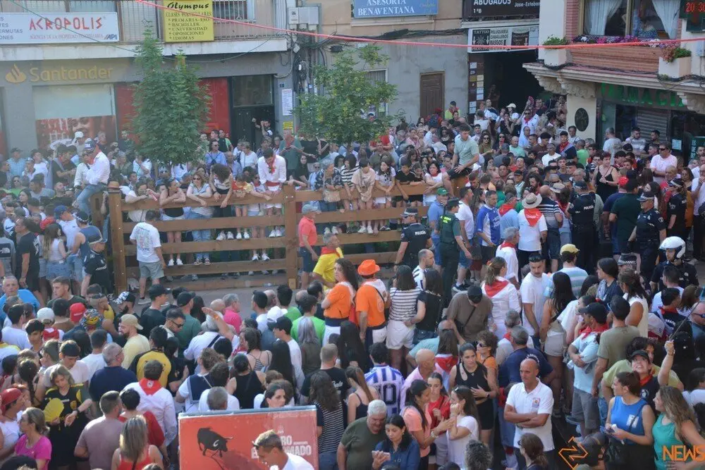 toro benavente 2025_122