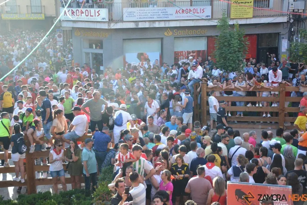 toro benavente 2025_124