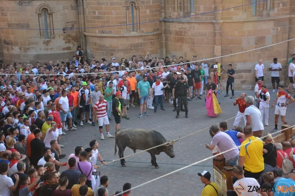toro benavente 2025_127