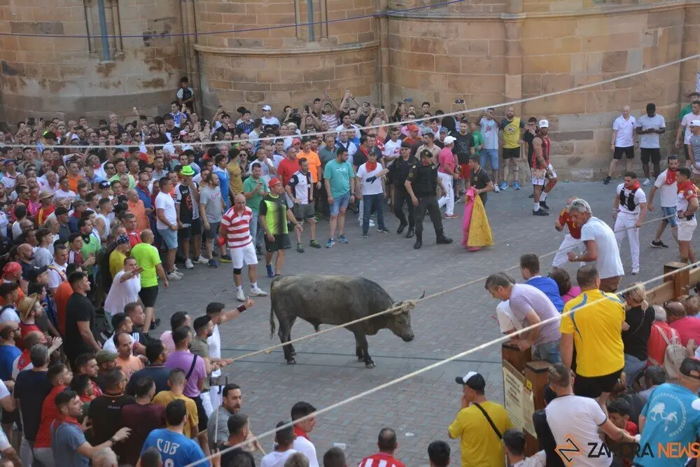 toro benavente 2025_129