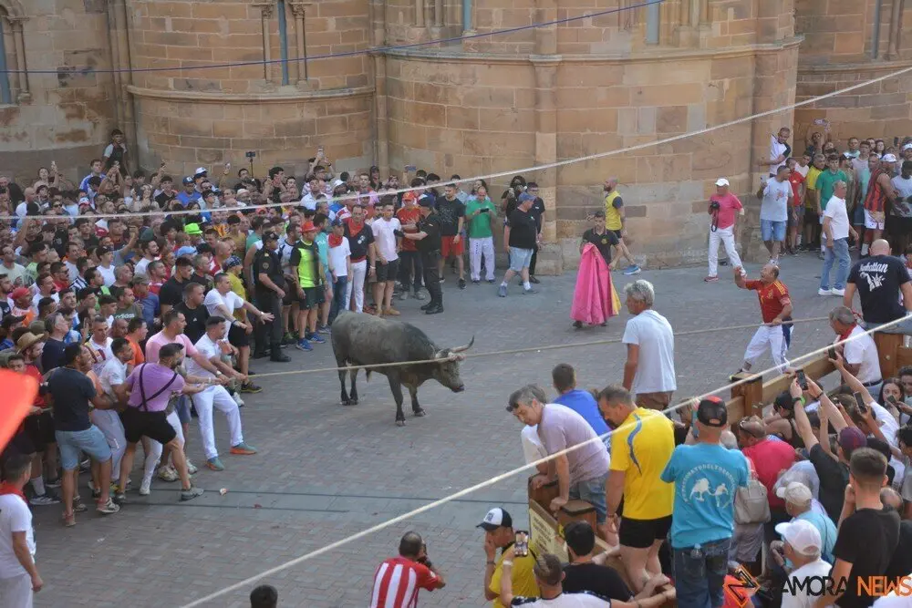 toro benavente 2025_134