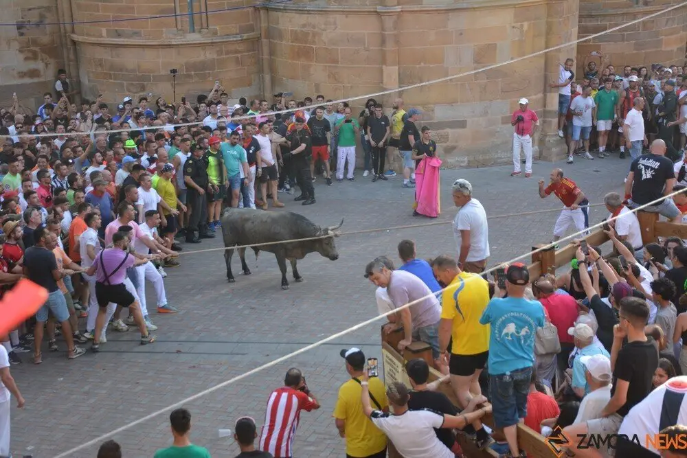 toro benavente 2025_136