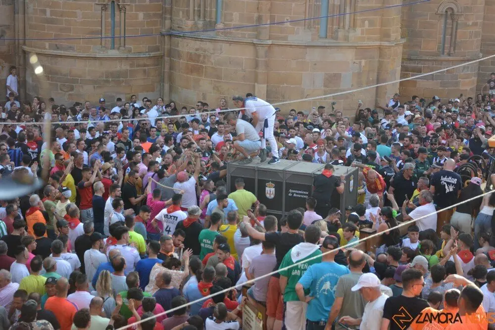 toro benavente 2025_139