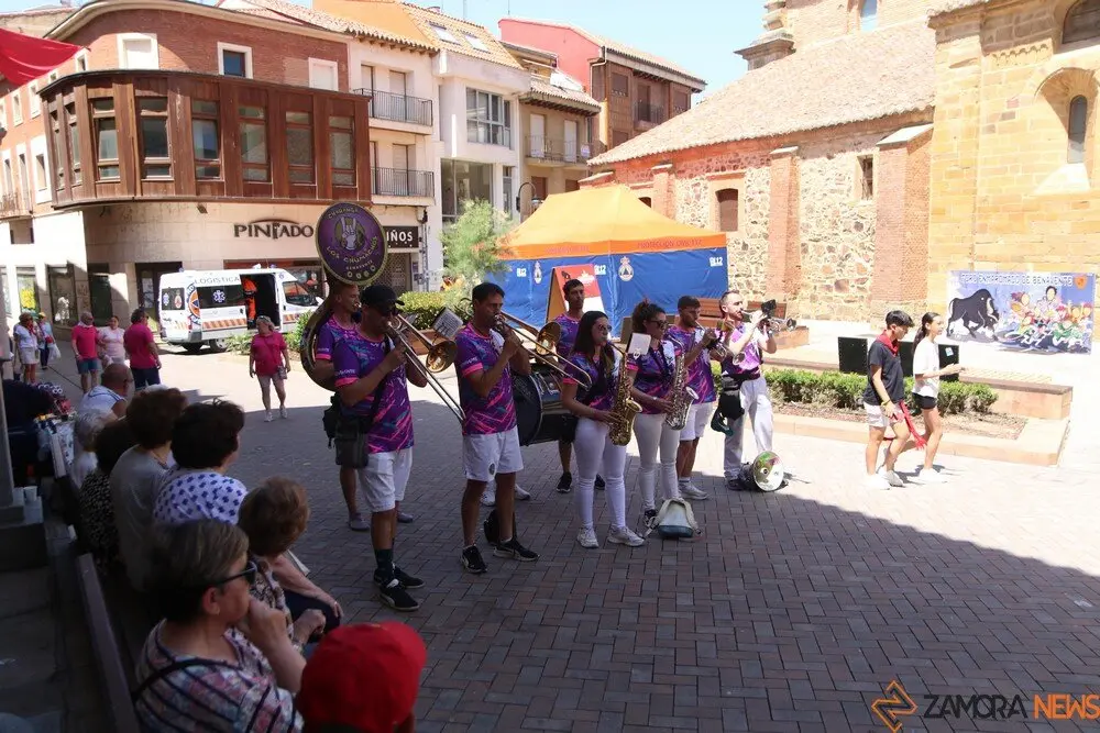 toro benavente 2025_147