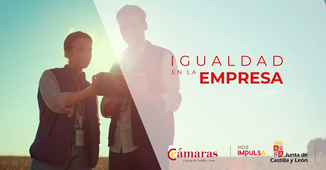 camara de comercio zamora