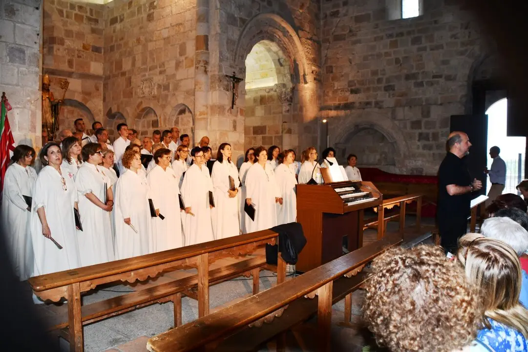 Concierto solidario en San Cipriano ZamorArte - Imagen de redes sociales