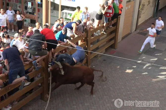 Torito del Alba. Imagen de Interbenavente