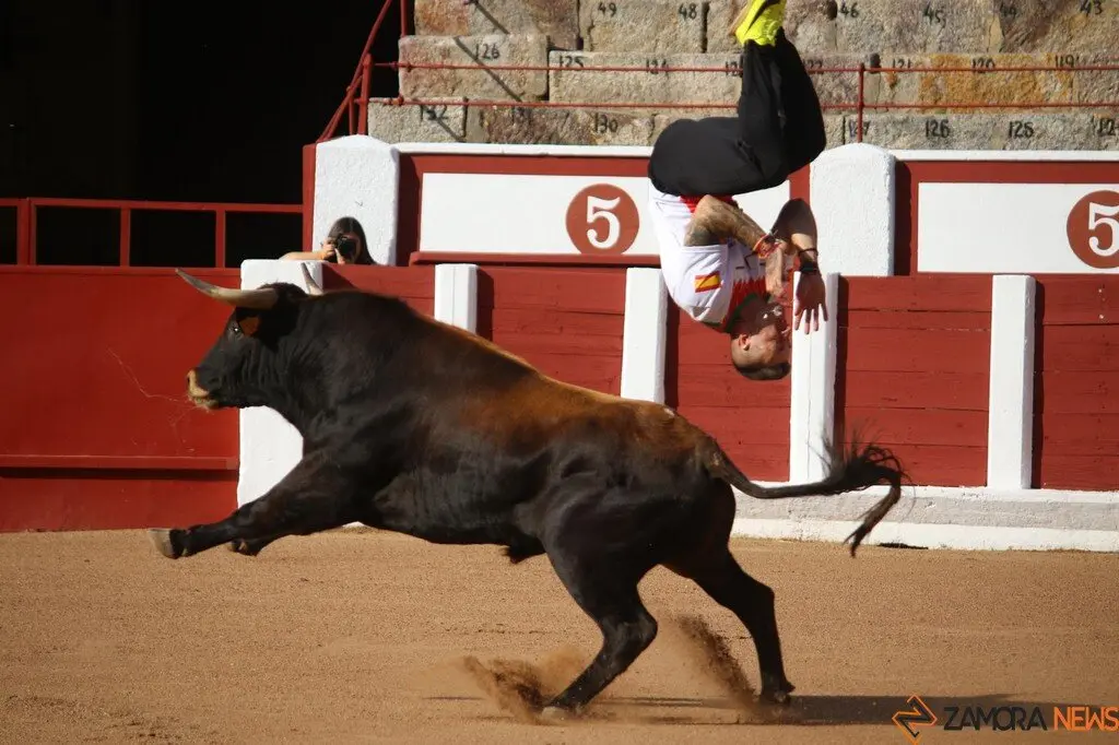 Concurso Nacional de Cortes en Zamora_15