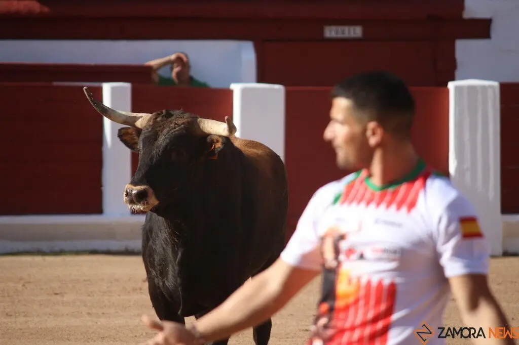 Concurso Nacional de Cortes en Zamora_16
